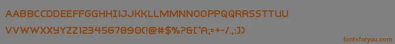 フォントinterbureausemibold – 茶色の文字が灰色の背景にあります。