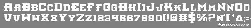 フォントinterceptorbold – 灰色の背景に白い文字