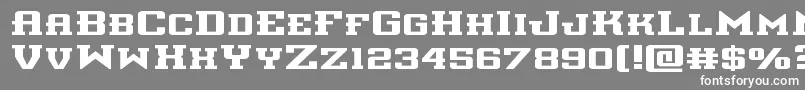 フォントinterceptorexpand – 灰色の背景に白い文字