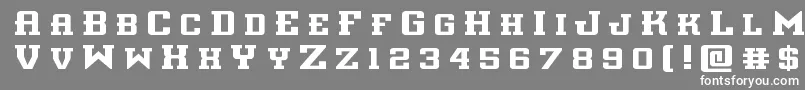 フォントinterceptortitle – 灰色の背景に白い文字