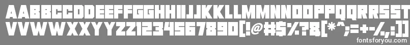 フォントInvasion 2028 – 灰色の背景に白い文字