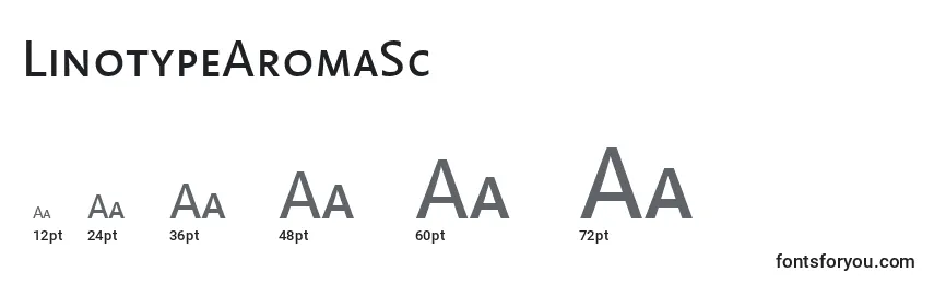 Размеры шрифта LinotypeAromaSc