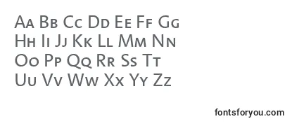 LinotypeAromaSc フォントのレビュー