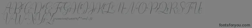 Irlandia Script Font – Black Fonts on Gray Background