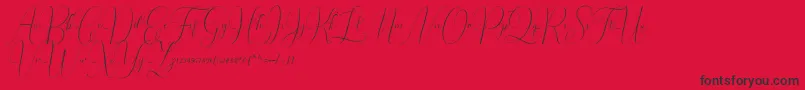 Irlandia Script Font – Black Fonts on Red Background