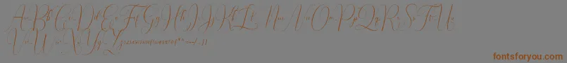 Irlandia Script Font – Brown Fonts on Gray Background