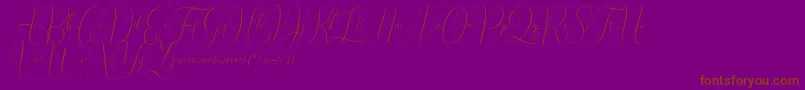 Irlandia Script Font – Brown Fonts on Purple Background