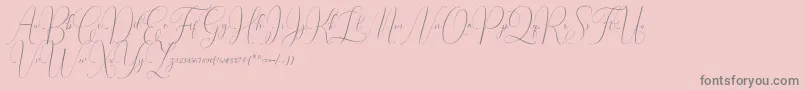 Police Irlandia Script – polices grises sur fond rose