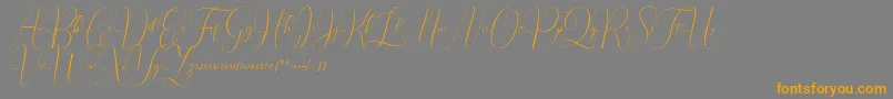 En savoir plus sur la police Irlandia Script Police Irlandia Script – polices orange sur fond gris