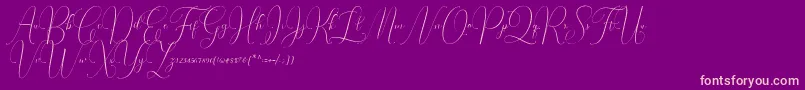Irlandia Script Font – Pink Fonts on Purple Background