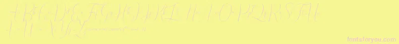 Irlandia Script Font – Pink Fonts on Yellow Background