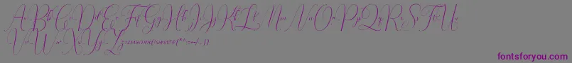Шрифт Irlandia Script – фиолетовые шрифты на сером фоне
