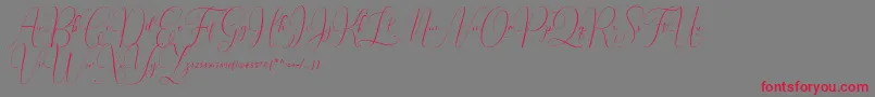 Irlandia Script Font – Red Fonts on Gray Background