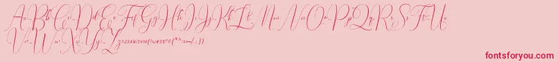 Irlandia Script-Schriftart – Rote Schriften auf rosa Hintergrund