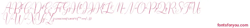 Irlandia Script Font – Red Fonts on White Background