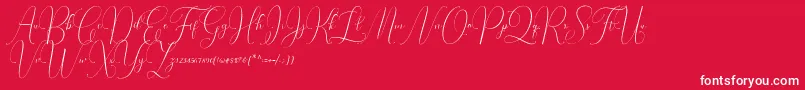 フォントIrlandia Script – 赤い背景に白い文字