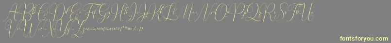 En savoir plus sur la police Irlandia Script Police Irlandia Script – polices jaunes sur fond gris