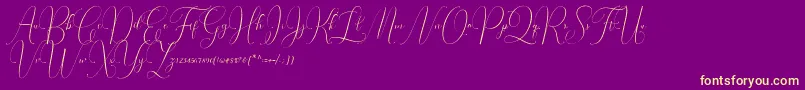 Irlandia Script Font – Yellow Fonts on Purple Background