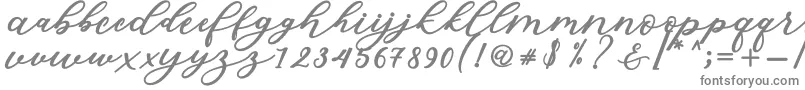 Czcionka Isabella Script – szare czcionki