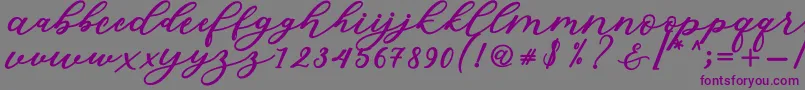 Isabella Script Font – Purple Fonts on Gray Background
