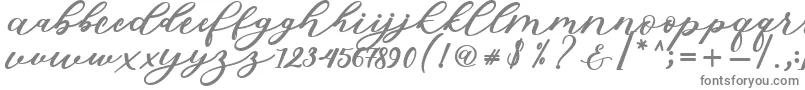 Isabella Script-fontti – harmaat fontit