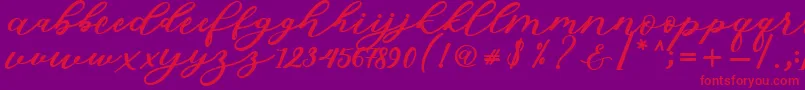 Isabella Script Font – Red Fonts on Purple Background