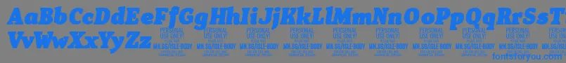 IsleBodyBl i PERSONAL Font – Blue Fonts on Gray Background