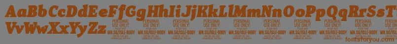 IsleBodyBl i PERSONAL Font – Brown Fonts on Gray Background