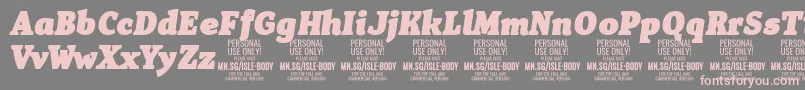 IsleBodyBl i PERSONAL Font – Pink Fonts on Gray Background