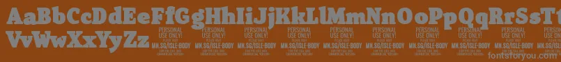 フォントIsleBodyBl PERSONAL – 茶色の背景に灰色の文字