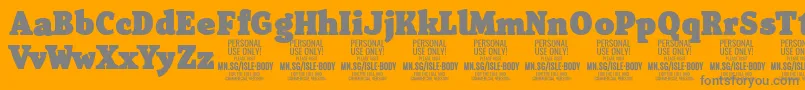 IsleBodyBl PERSONAL Font – Gray Fonts on Orange Background