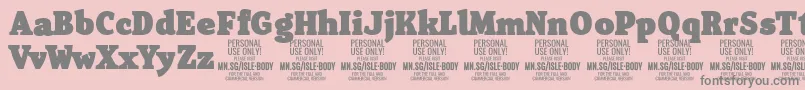 IsleBodyBl PERSONAL Font – Gray Fonts on Pink Background