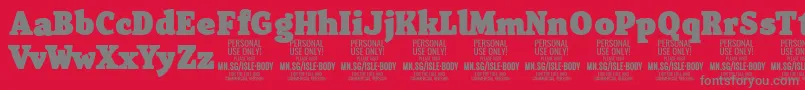 フォントIsleBodyBl PERSONAL – 赤い背景に灰色の文字