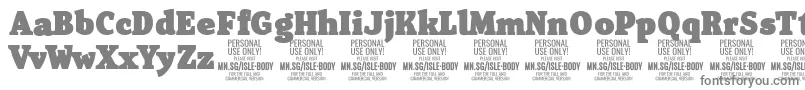 IsleBodyBl PERSONAL-fontti – harmaat kirjasimet valkoisella taustalla