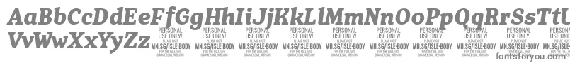 IsleBodyBo i PERSONAL Font – Gray Fonts