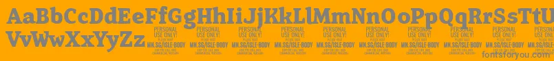 IsleBodyBo PERSONAL-Schriftart – Graue Schriften auf orangefarbenem Hintergrund