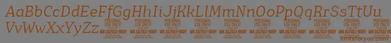 IsleBodyLi i PERSONAL Font – Brown Fonts on Gray Background