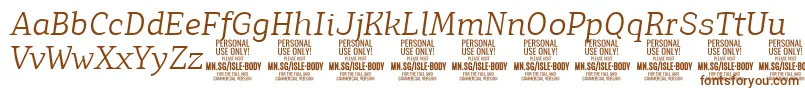 IsleBodyLi i PERSONAL Font – Brown Fonts on White Background