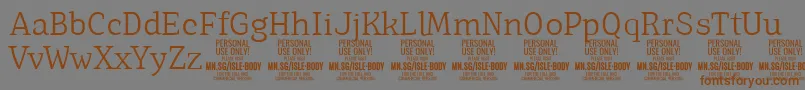 IsleBodyLi PERSONAL Font – Brown Fonts on Gray Background