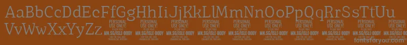 フォントIsleBodyLi PERSONAL – 茶色の背景に灰色の文字