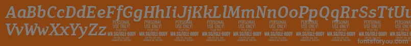 IsleBodyMe i PERSONAL Font – Gray Fonts on Brown Background