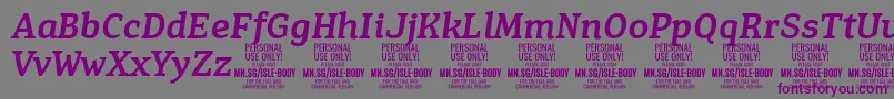 フォントIsleBodyMe i PERSONAL – 紫色のフォント、灰色の背景