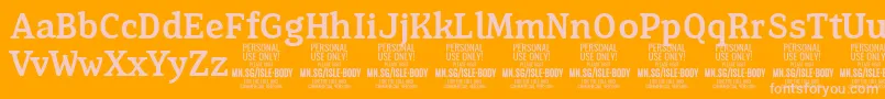 IsleBodyMe PERSONAL Font – Pink Fonts on Orange Background