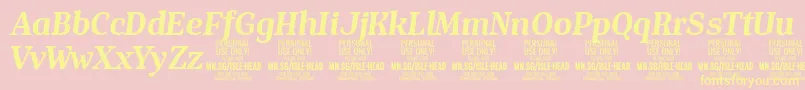 IsleHeadBo i PERSONAL-Schriftart – Gelbe Schriften auf rosa Hintergrund