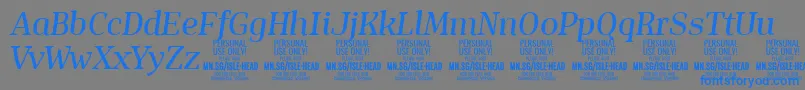 IsleHeadMe i PERSONAL-Schriftart – Blaue Schriften auf grauem Hintergrund