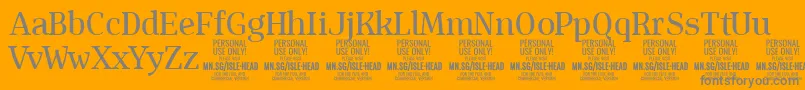 IsleHeadMe PERSONAL-Schriftart – Graue Schriften auf orangefarbenem Hintergrund