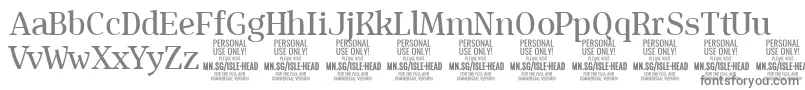 IsleHeadMe PERSONAL-Schriftart – Graue Schriften auf weißem Hintergrund