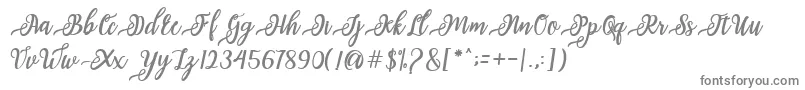 issabeta Script Font – Gray Fonts on White Background