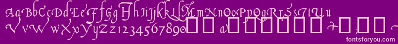 Italian Cursive, 14th c Font – Pink Fonts on Purple Background