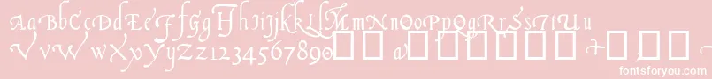 Italian Cursive, 14th c Font – White Fonts on Pink Background